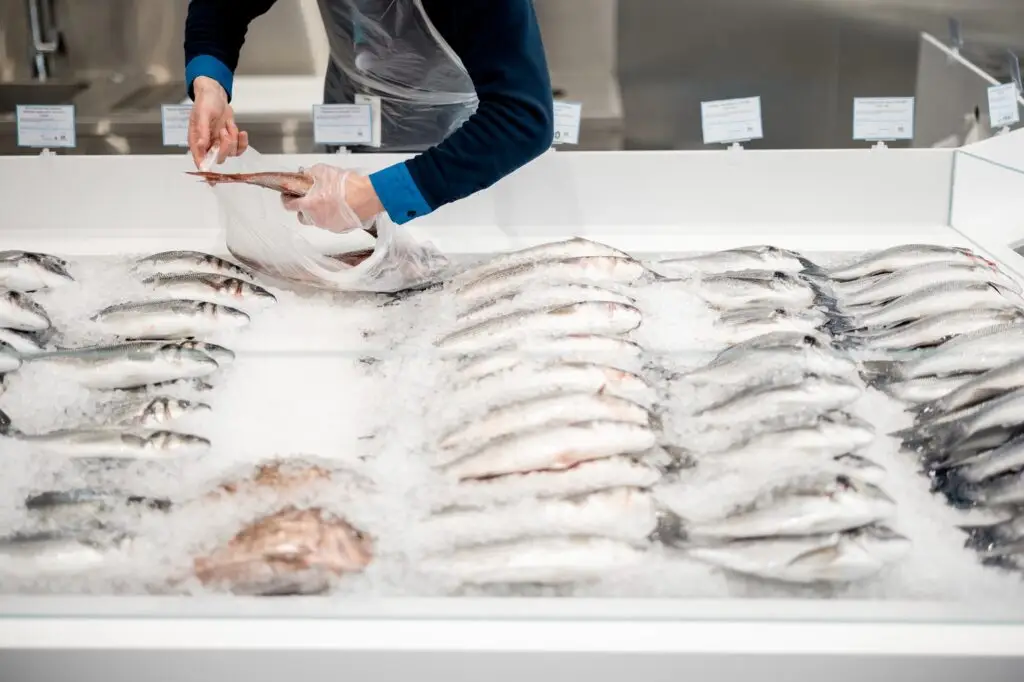 Fishmonger lays out fish on an ice counter in a supermarket